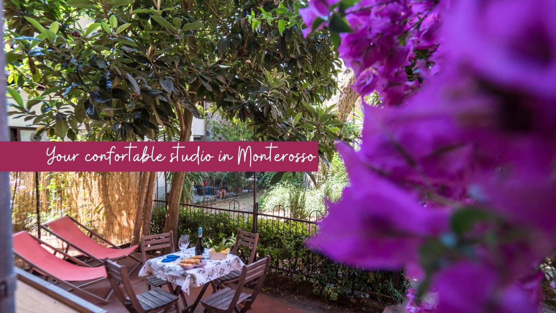 Il Giardino Di Ada Ground Floor Studio With Ac And Patio モンテロッソ・アル・マーレ エクステリア 写真
